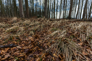 Ostseebad Nienhagen