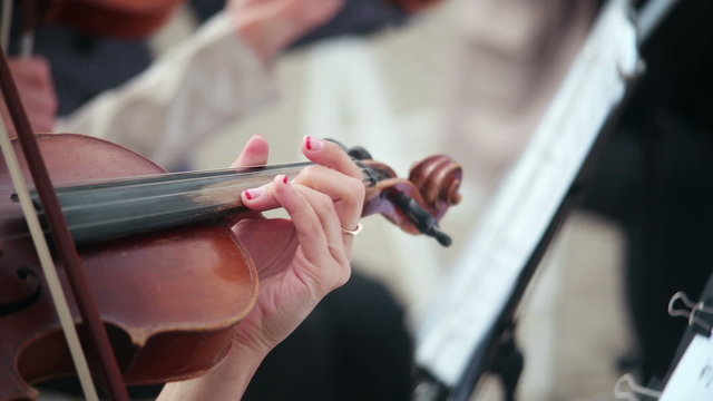 women playing stringed instruments violin, cello