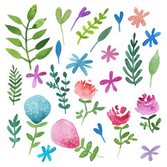 Hand painted watercolor plants and flowers.