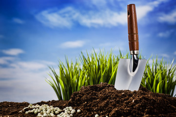 Planting a plant on a sunny day