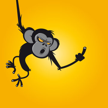 affe wild mittelfinger beleidigung