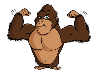 cartoon vector illustration of a gorilla flexing