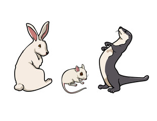 cartoon vector illustration of a rabbit mouse and ferret