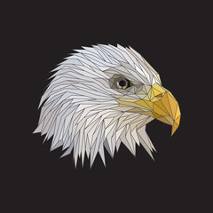 Vector polygonal eagle head illustration, profile portrait. Lines and colors in different groups.