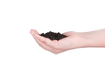 soil in hands isolated