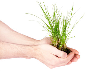 human hands holding green grass with ground
