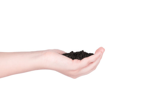 Soil In Hands Isolated