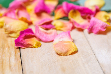 Rose petals