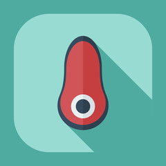 Flat modern design with shadow icons steak