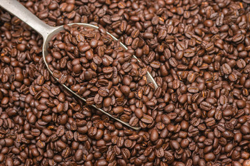 Coffee beans background with spatula