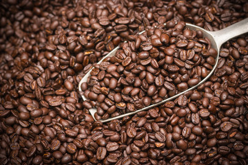 Coffee beans background with spatula
