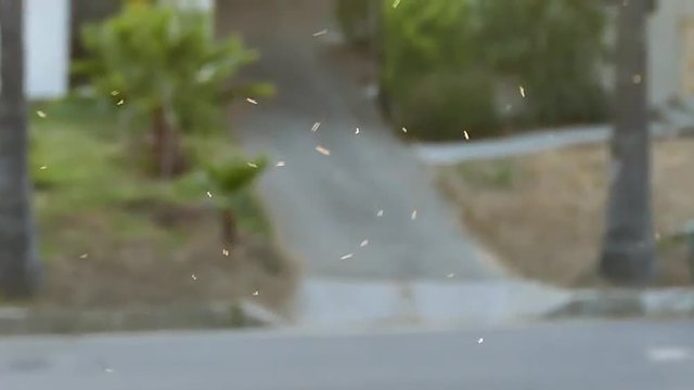 This video is about gnats swarming in slow motion.