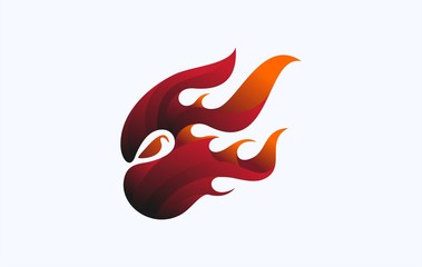 ninja fire © twelve.std