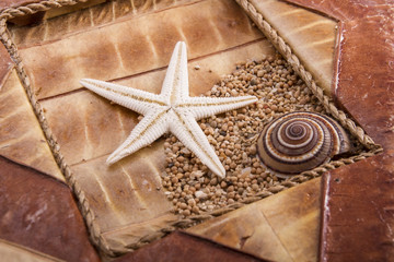 Sea star texture with a snail part on a brown foliar frame backg
