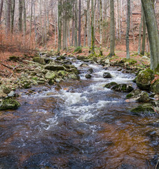 Nationalpark Harz Ilsetal