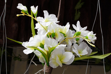 Artificial flowers / Artificial flowers of white orchid