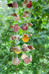 Sea shells mobile / Closeup shot of sea shells mobile