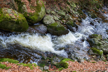 Nationalpark Harz Ilsetal