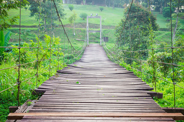 suspension bridge, wooden rope walkway to the forest