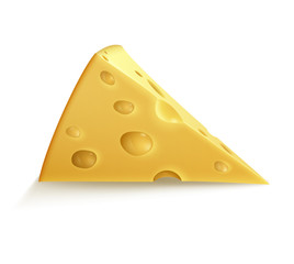 Single piece of cheese