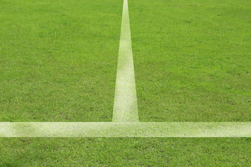 textured grass football , green natural grass of a soccer field.