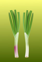 green onion on a green background