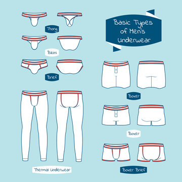 Types of men's underwear with names. Set of men's underwear: boxer, brief,  boxer-brief, Thong, bikini, thermal underwear. Vector illustration. Stock  Vector | Adobe Stock