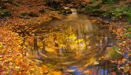 Autumn stream