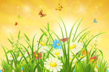 Spring nature background with green grass, flowers and butterflies