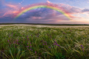 Spring landscape with rainbow