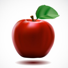 Red apple on white background