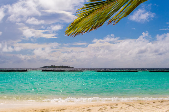 Coconut palm leafs in front of dreamy beach at an island in Mald