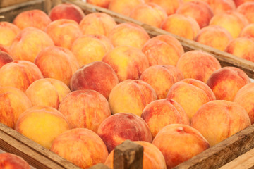 Fresh peaches in a wooden basket