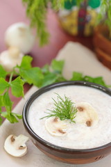 Mushroom cream soup