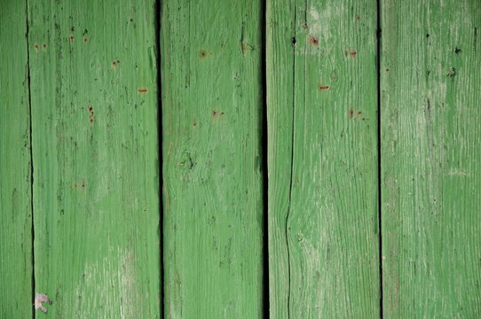 Grön plankvägg