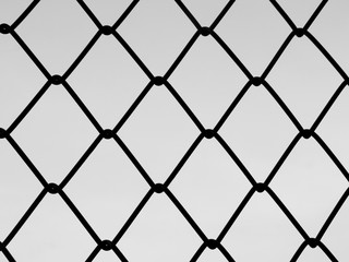 Fototapeta premium wire mesh