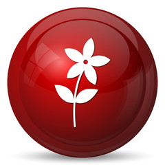 Flower  icon
