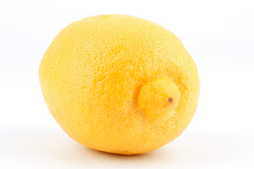 One lemon on a white background