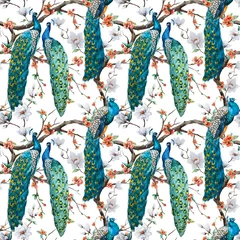 Printed roller blinds Peacock Watercolor raster peacock pattern