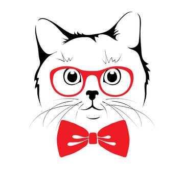Vector illustration -- Stylish cat hipster