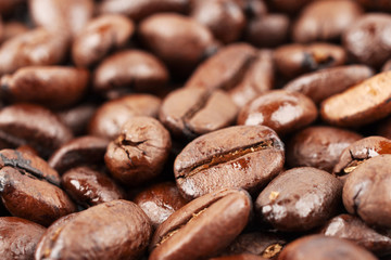 A lot of coffee beans