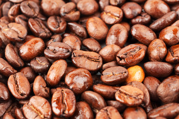 A lot of coffee beans