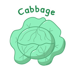 Isolated cabbage icon