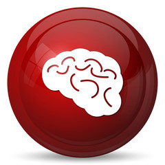 Brain icon