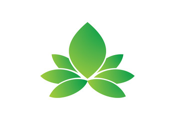 green lotus reative vector design template logo