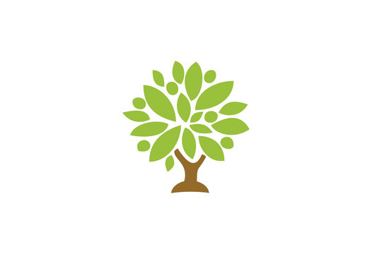 Big oak tree with brown trunk and green leaves crown logo