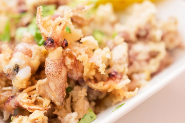 Fried small squid