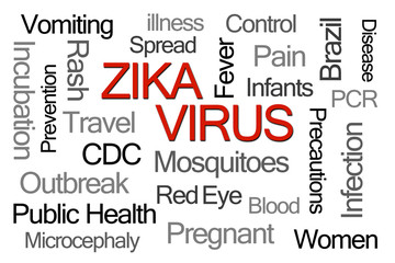Zika Virus Word Cloud