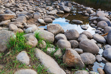 River Stones with green grass.