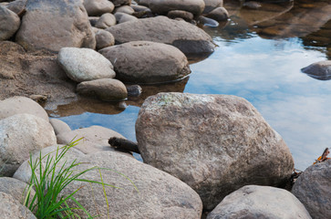 River Stones with green grass.